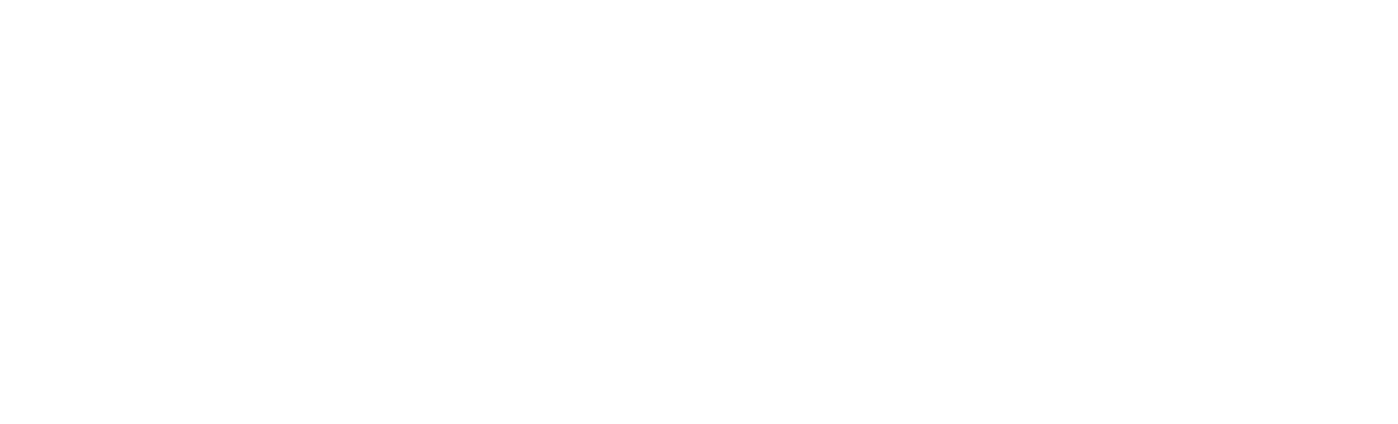 University of Connecticut Logo