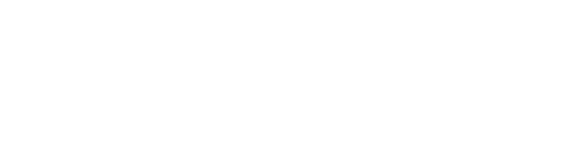 University of Texas Logo