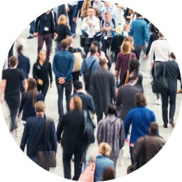 Prime Panels vast participant base