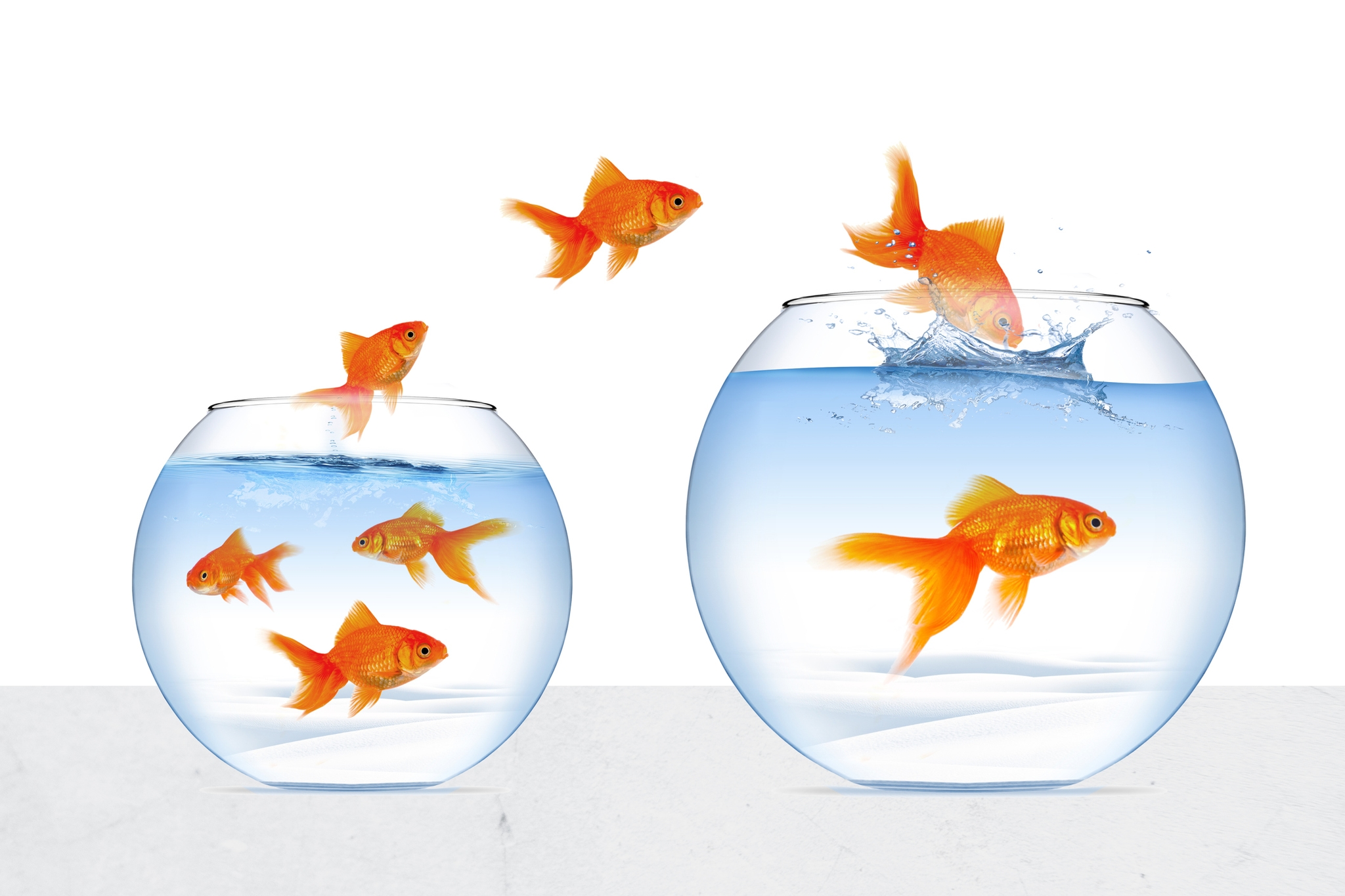 4 Strategies to Improve Participant Retention In Online Longitudinal Research Studies