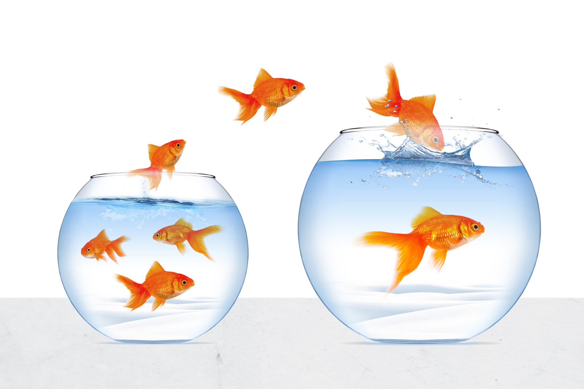 4 Strategies to Improve Participant Retention In Online Longitudinal Research Studies