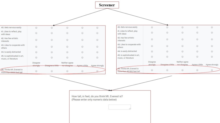 Survey flow for anchoring tasks